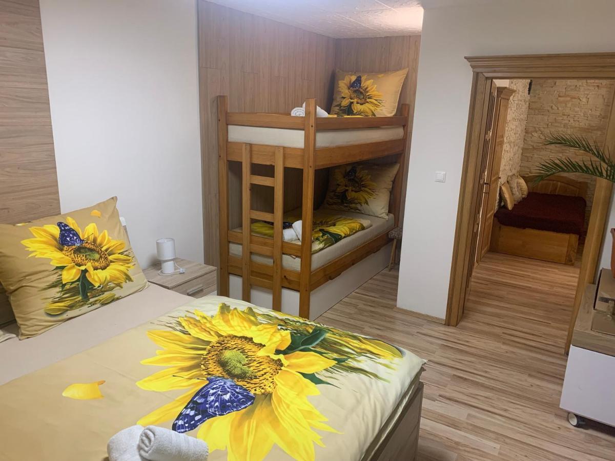 Apartman Slunecnice S Terasou Ceske Budejovice Bagian luar foto