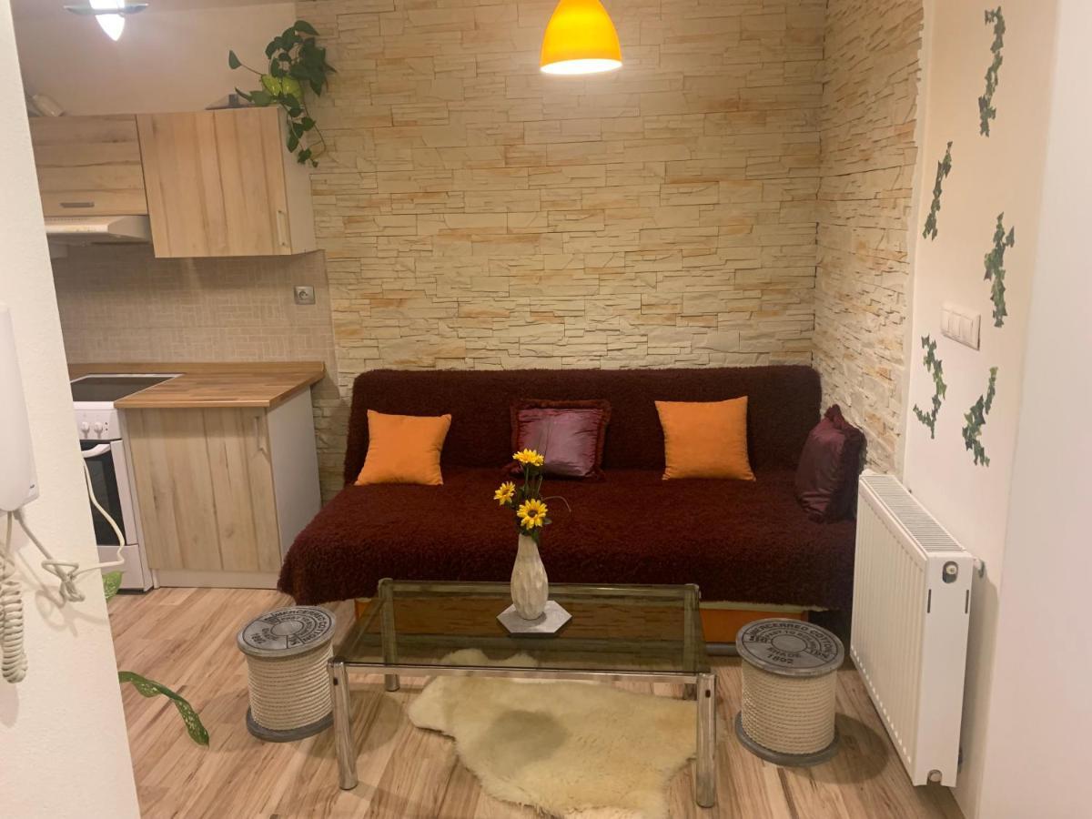 Apartman Slunecnice S Terasou Ceske Budejovice Bagian luar foto