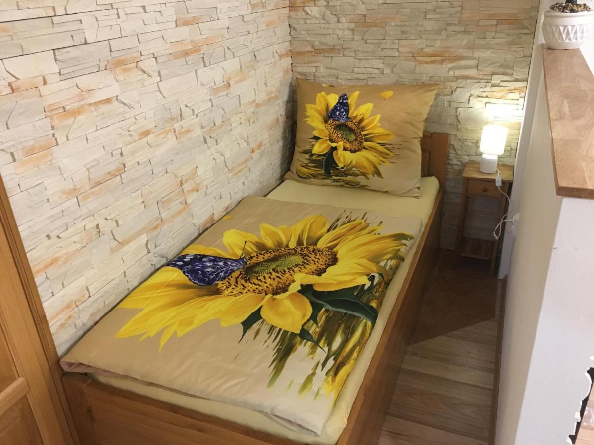 Apartman Slunecnice S Terasou Ceske Budejovice Bagian luar foto