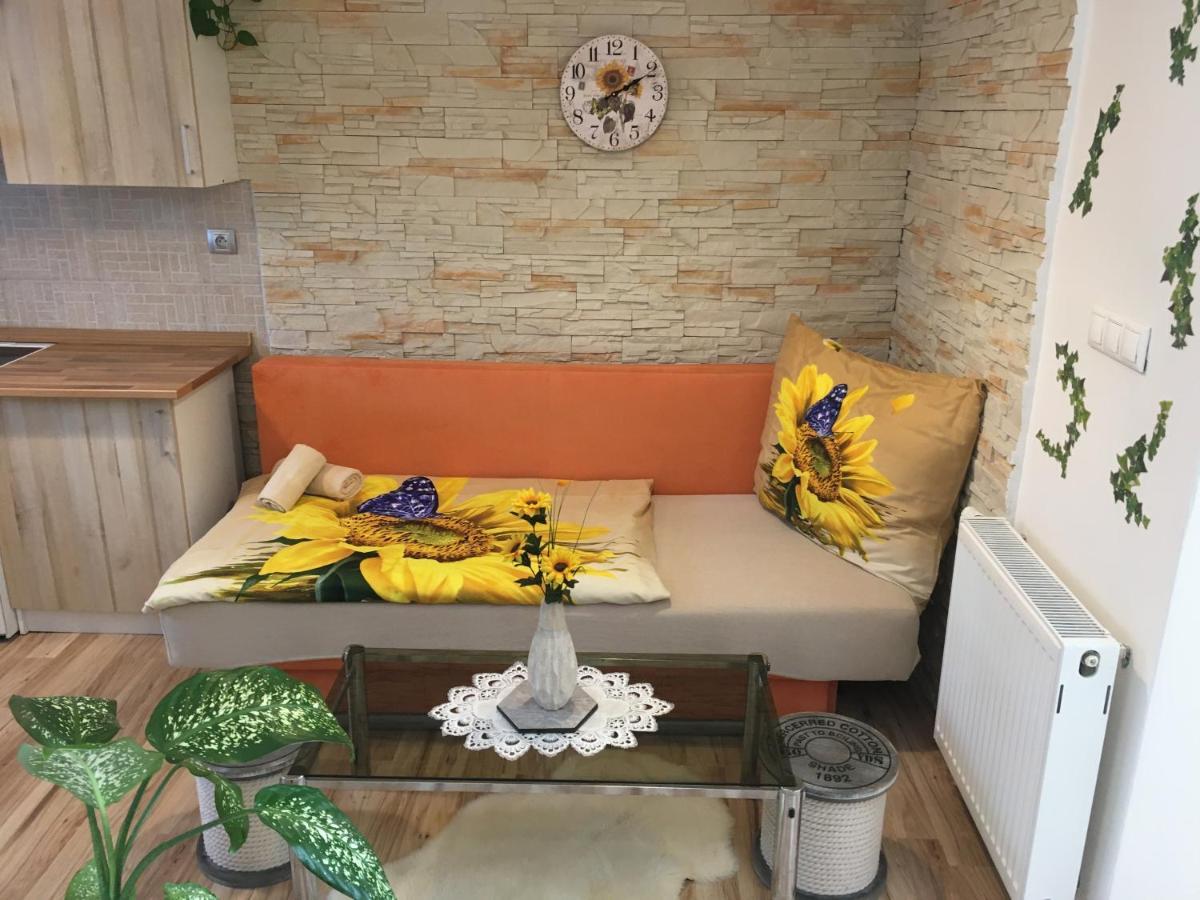 Apartman Slunecnice S Terasou Ceske Budejovice Bagian luar foto