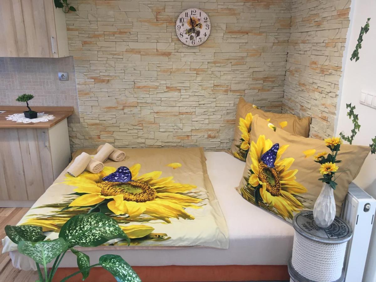 Apartman Slunecnice S Terasou Ceske Budejovice Bagian luar foto