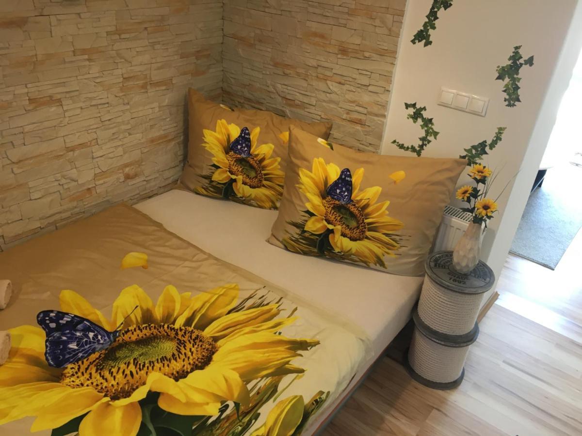 Apartman Slunecnice S Terasou Ceske Budejovice Bagian luar foto